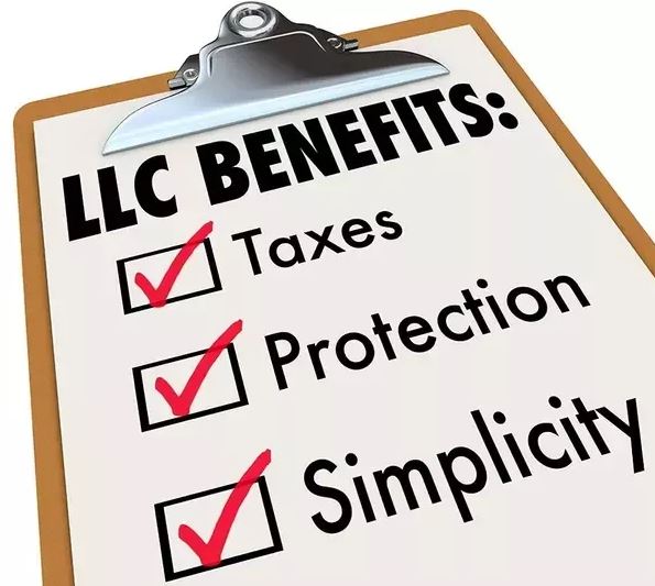 limited liability company