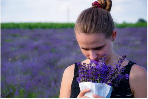 lavender reduces stress