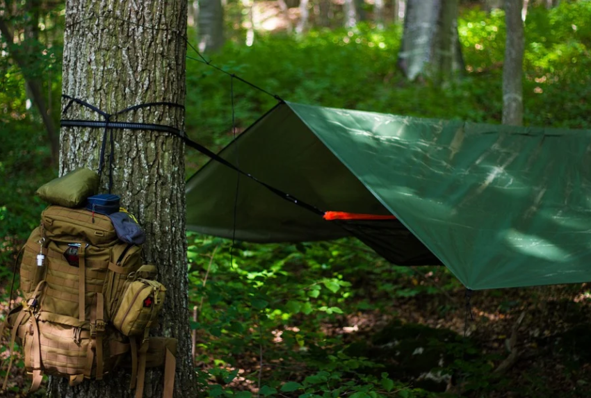 portable hammock 